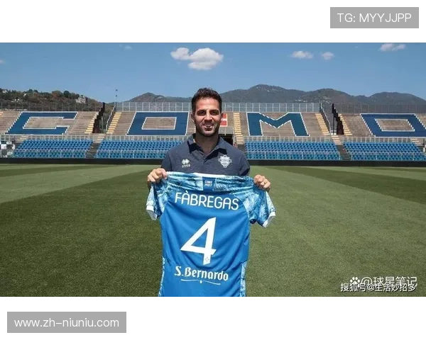 法布雷加斯积极参与足球教育项目,公益贡献广受赞誉