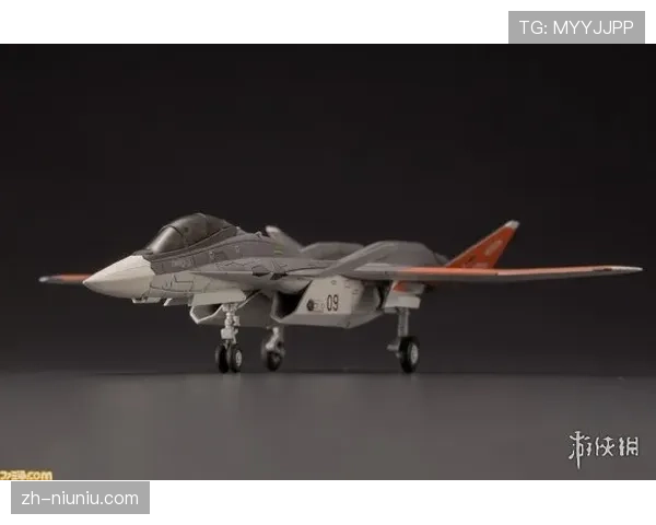 航模锦标赛千人参赛 橡筋模型与遥控空战展现科技体育魅力 航模锦标赛千人参赛 橡筋模型与遥控空战展现科技体育魅力