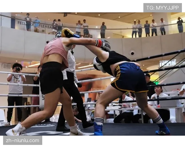 职业拳击赛收入多元,门票、赞助与媒体版权构成三大支柱 职业拳击赛收入多元,门票、赞助与媒体版权构成三大支柱